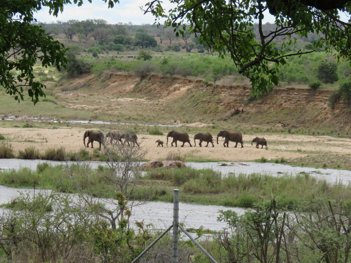 Kruger View Tree House Villa Marloth Park Exterior foto