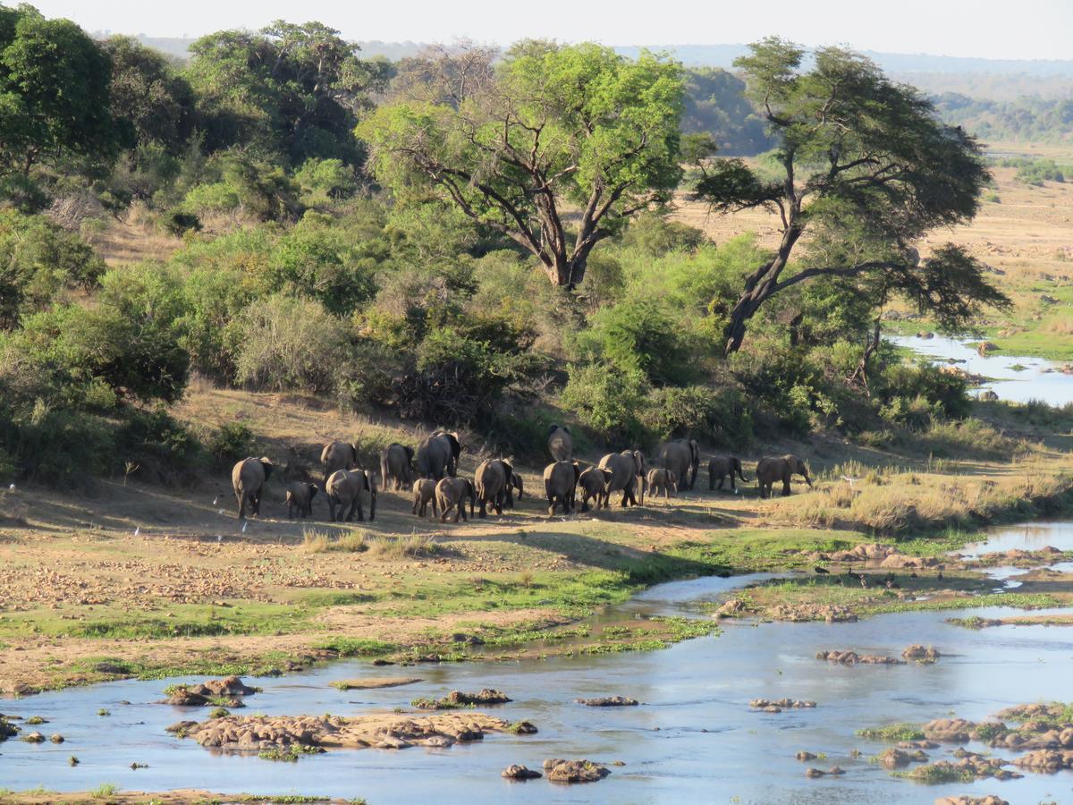 Kruger View Tree House Villa Marloth Park Exterior foto