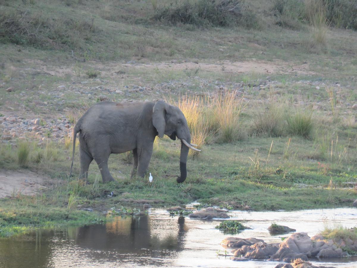 Kruger View Tree House Villa Marloth Park Exterior foto