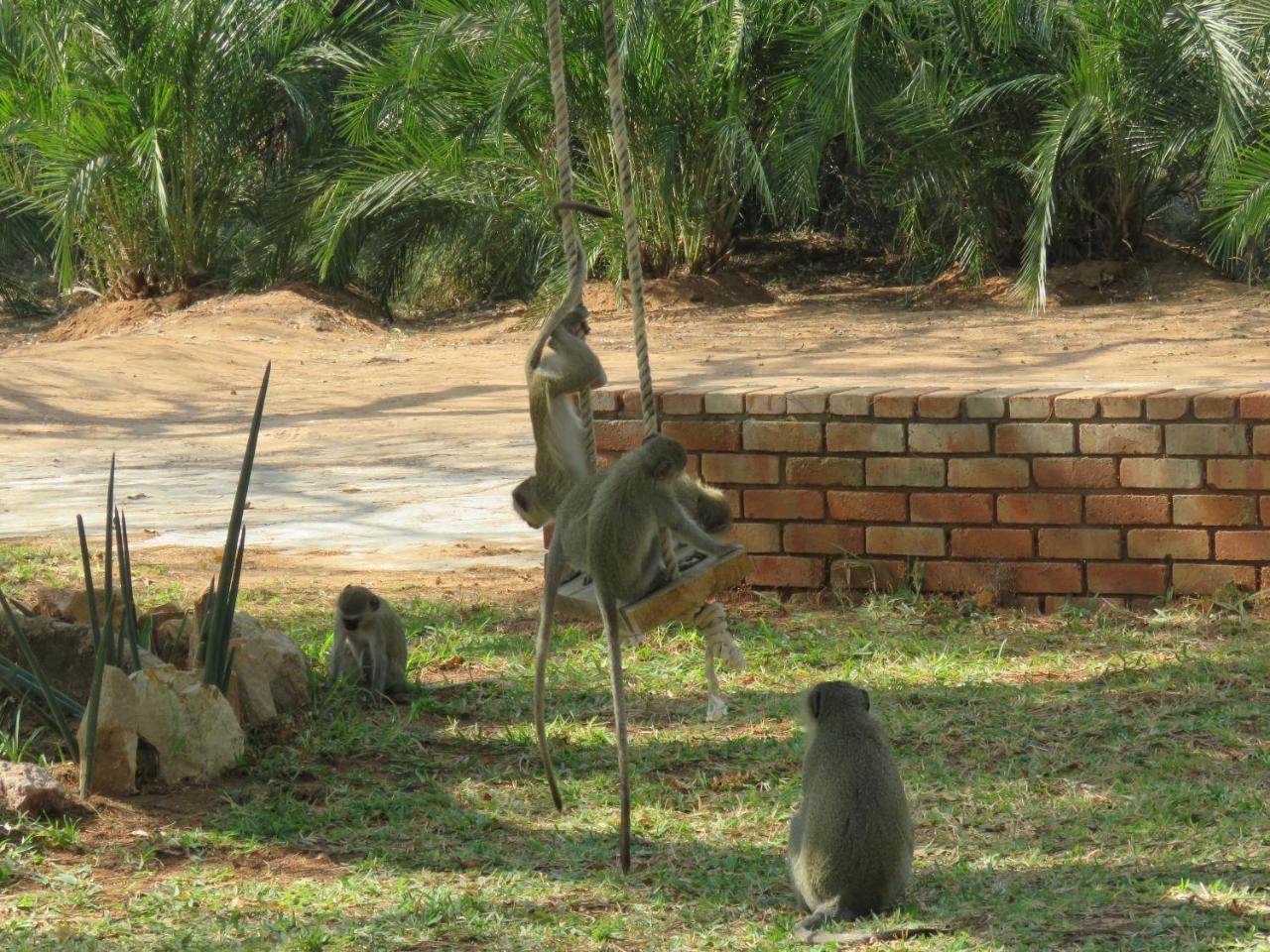Kruger View Tree House Villa Marloth Park Exterior foto